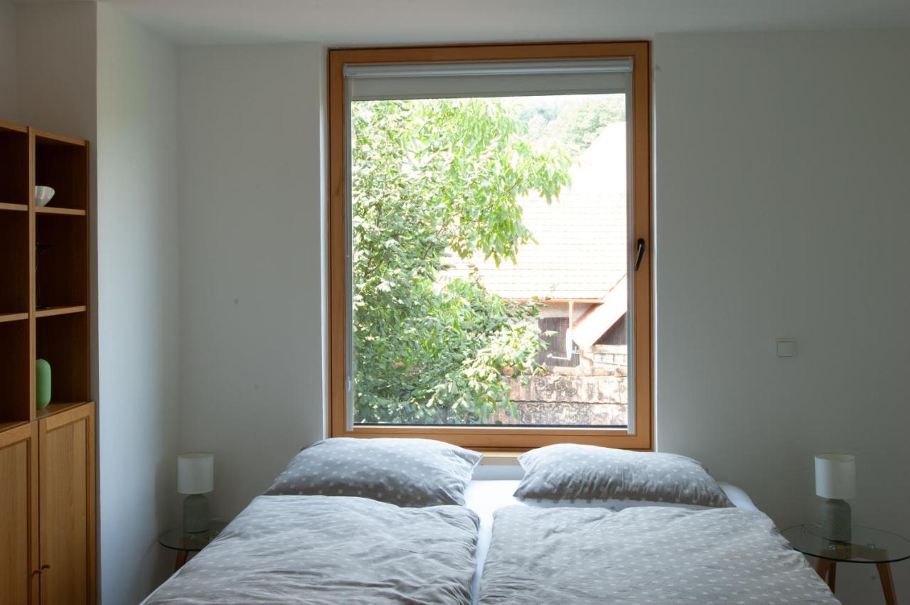 Pension Merano Jetrichovice  Екстериор снимка